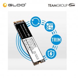 Team Group MS30 M.2 2280 256GB SATA III TLC Internal Solid State Drive (SSD) TM8PS7256G0C101 