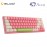 Akko Mochi & Dango 3068B Plus Fully Assembled Multi-Mode Wireless Hot-Swap Keyboard - Akko Cream Blue Pro (6925758627535)