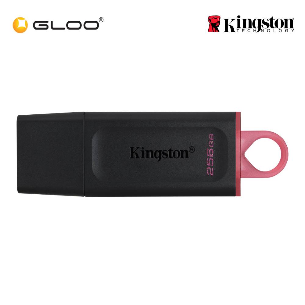 Kingston DataTraveler Exodia USB Flash Drive 3.2 Gen 1 256GB Black + Pink (DTX/256GB)