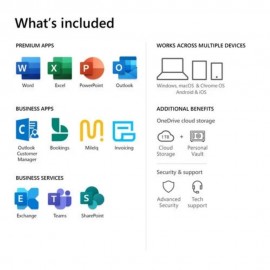 Microsoft Office 365 Business Standard Pocket Card - KLQ-00209